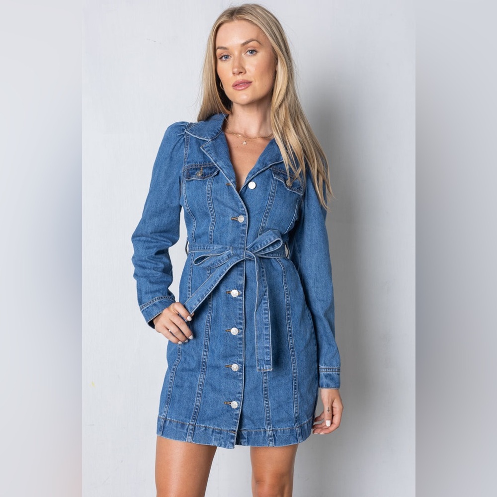 NWOT Vestique Daisy Denim Dress